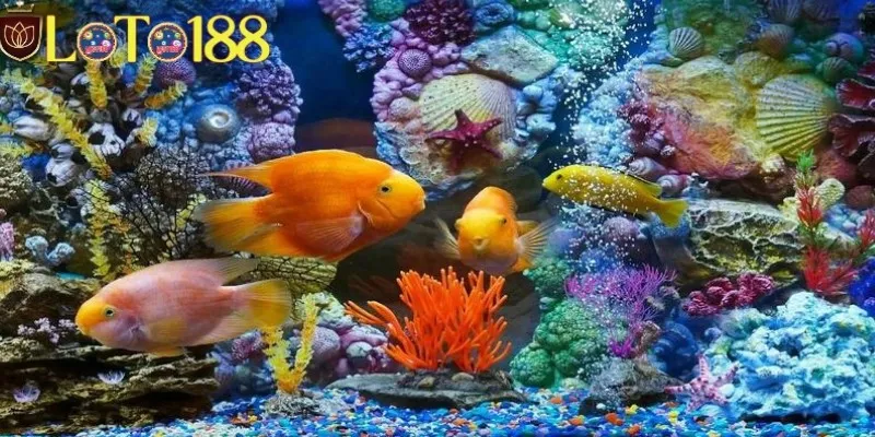 Giải mã điềm báo từ giấc mộng thấy đánh cá và ý nghĩa sâu xa phía sau
