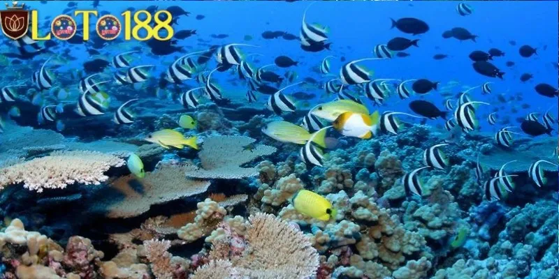 Giải mã giấc mơ thấy đánh được nhiều cá con và ý nghĩa đằng sau